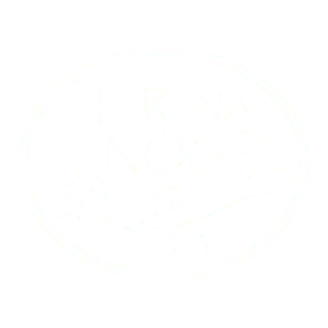 Tir na nOg watch party venue