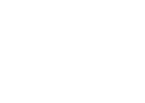 Wrecking Bar Brewpub